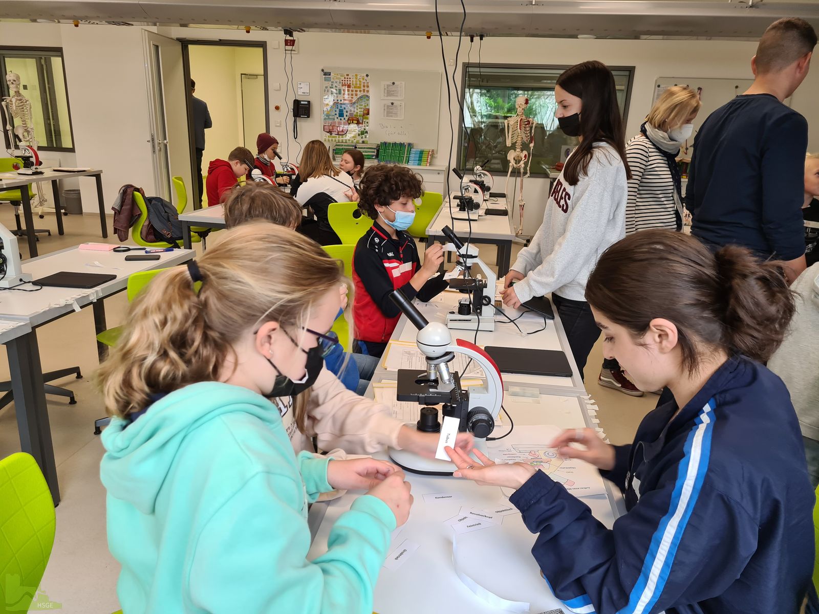 Kleine Forscher an der Hardenstein-Gesamtschule